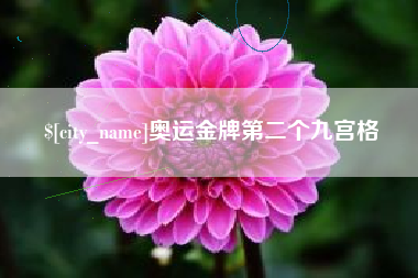 滑县奥运金牌第二个九宫格