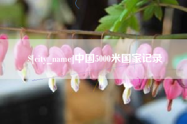 滑县中国5000米国家记录