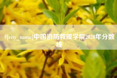滑县中国消防救援学院2020年分数线
