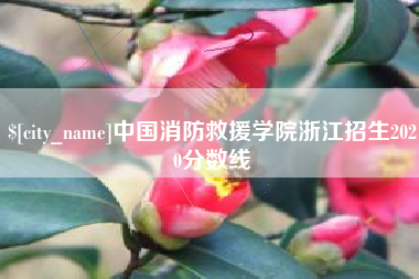 滑县中国消防救援学院浙江招生2020分数线