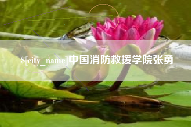 滑县中国消防救援学院张勇
