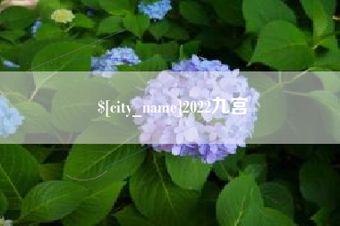 滑县2022九宫