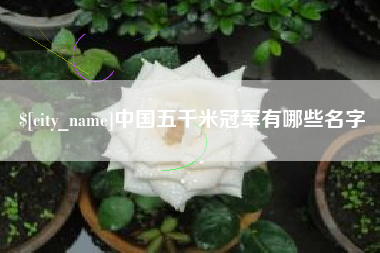滑县中国五千米冠军有哪些名字