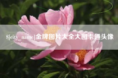 滑县金牌图片大全大图卡通头像