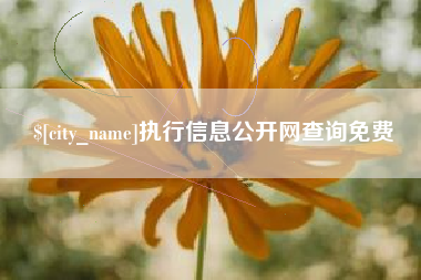 滑县执行信息公开网查询免费