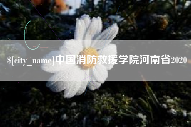 滑县中国消防救援学院河南省2020